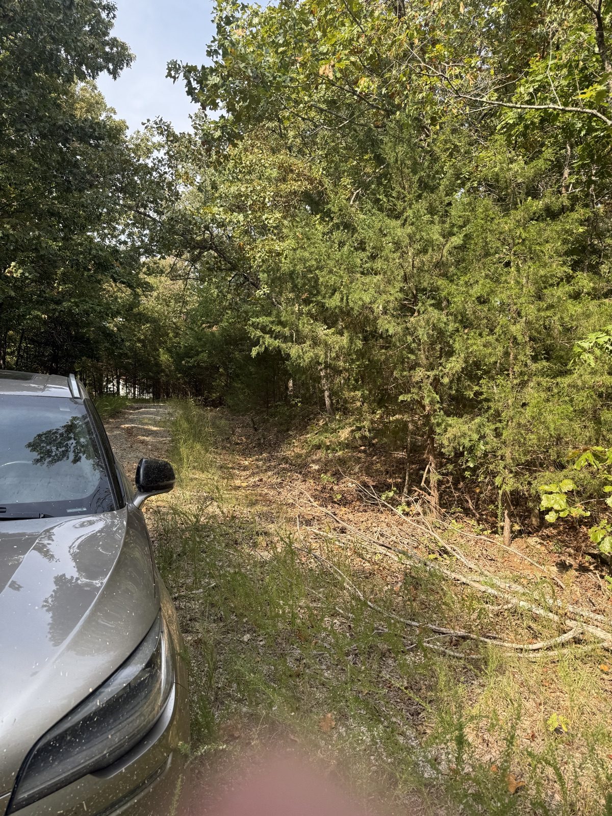 Cherokee Village — Choctaw First Lot 5 — 0.35 acres in Sharp County, Arkansas