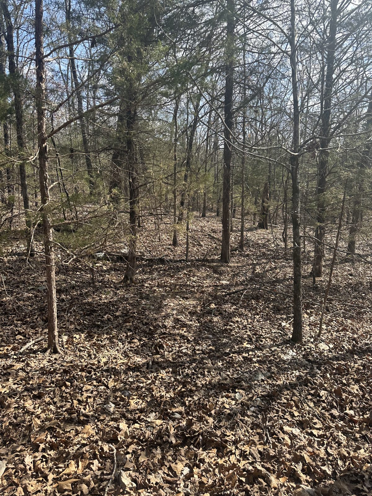 Cherokee Village — Lochloosa Dr — 0.33 acres in Sharp County, Arkansas