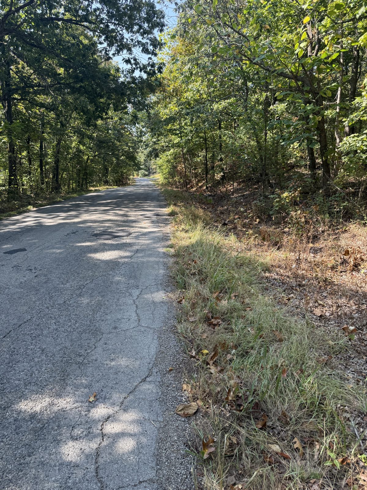 Cherokee Village — Skyline Lot 4 — 0.28 acres in Sharp County, Arkansas