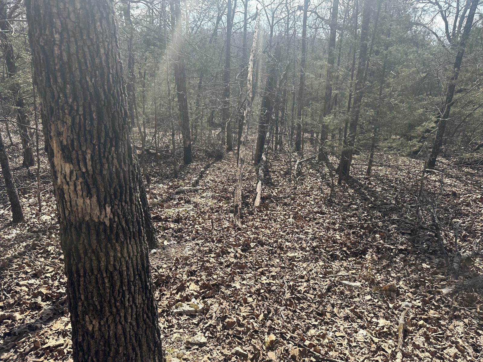 Cherokee Village — Vegas Second Lot 66 — 0.33 acres in Sharp County, Arkansas