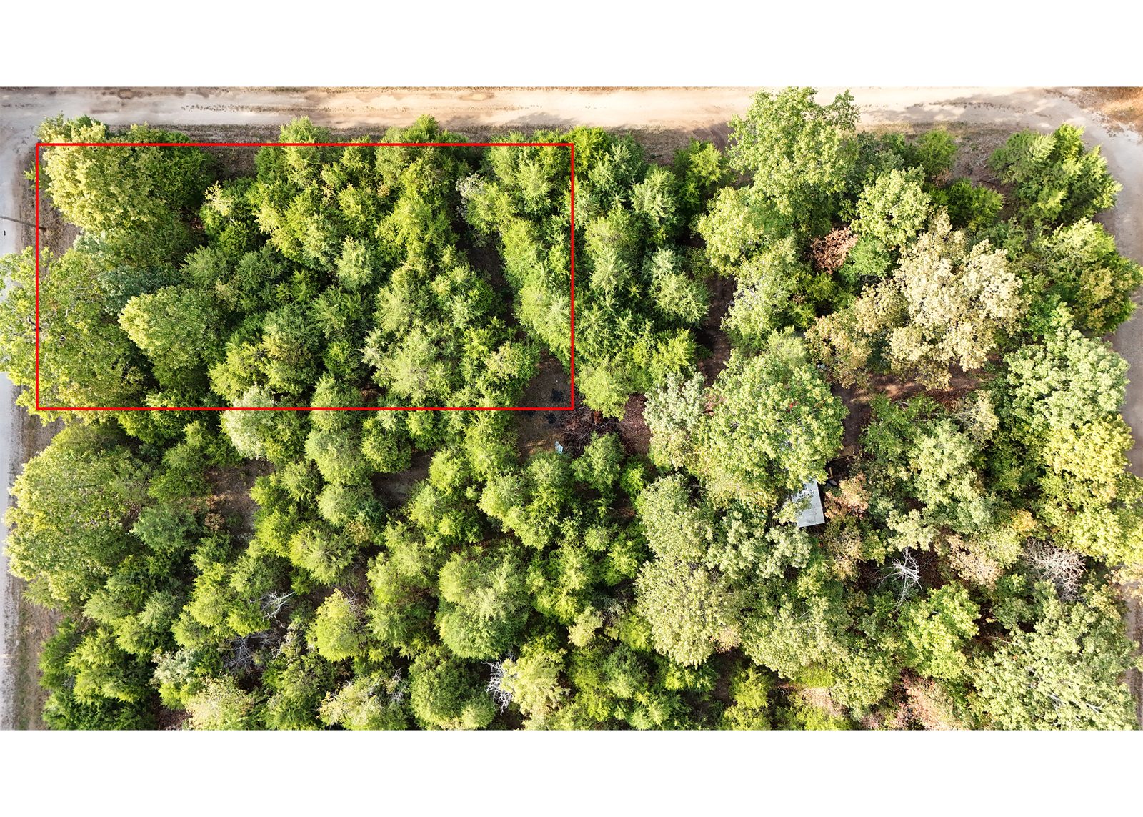 Horseshoe Bend — Blackberry Ln — 0.25 acres in Izard County, Arkansas