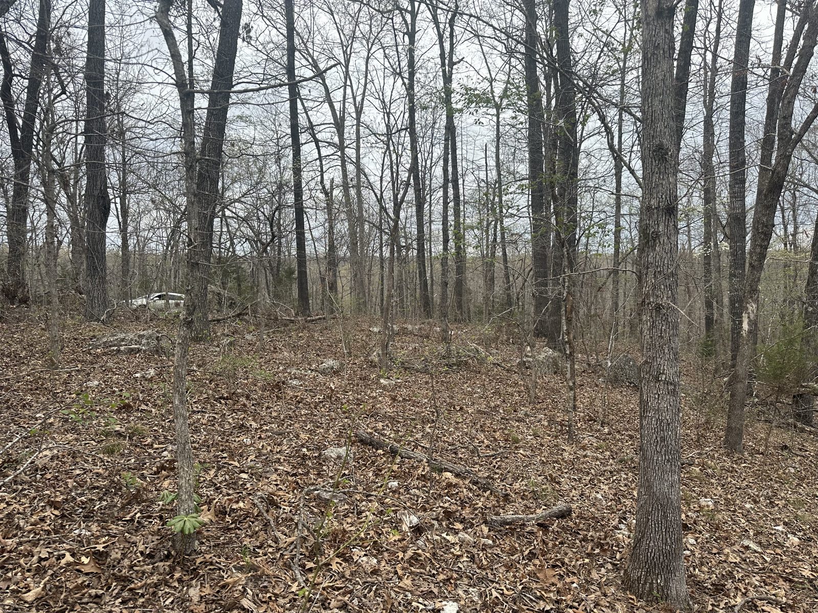 Williford — Oak Terrace Lot 2 — 0.23 acres in Sharp County, Arkansas